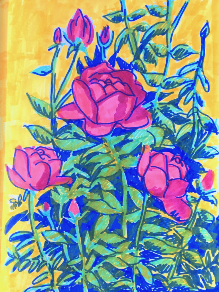 “Peninsula Park Roses”, Marker on Paper, 11 x 14 inches, 2017