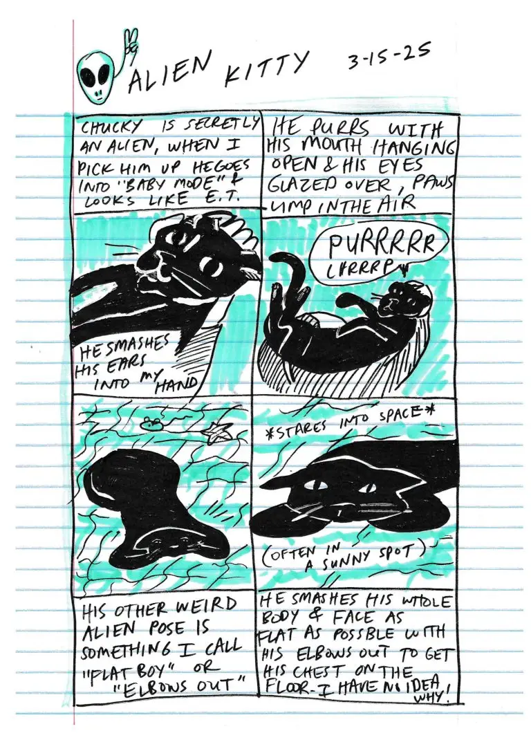 "Alien Kitty" from "Cripple Castle 3", 2026