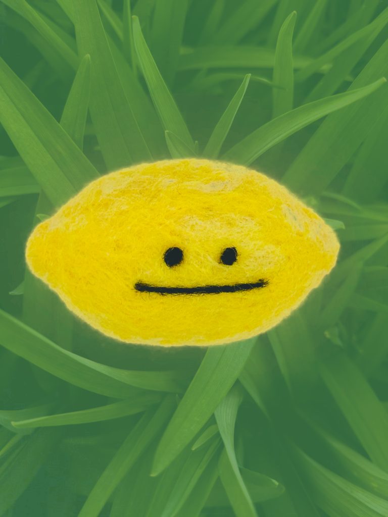 "Sour Lemon", needle felted wool, 2024